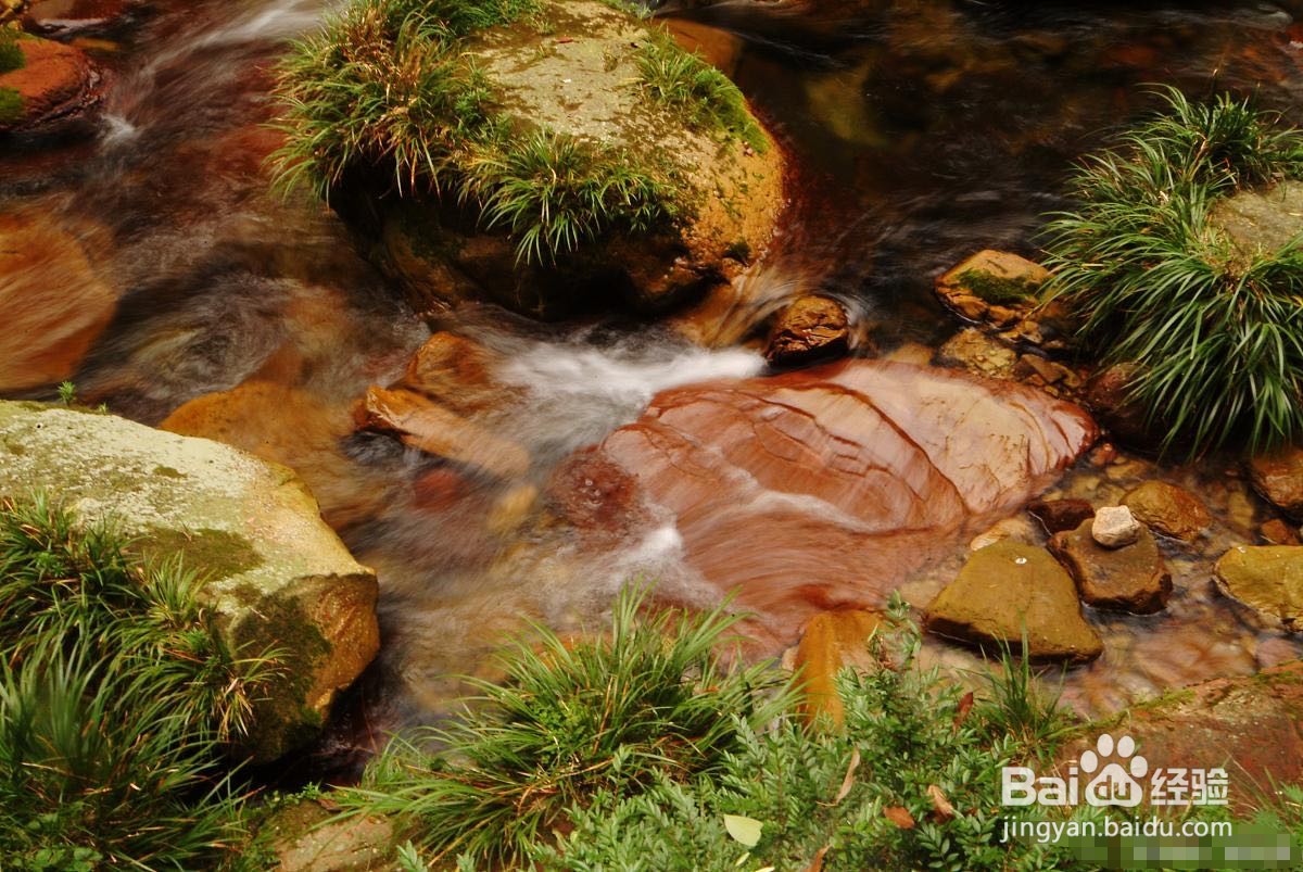 北京北宫国家森林公园旅游攻略