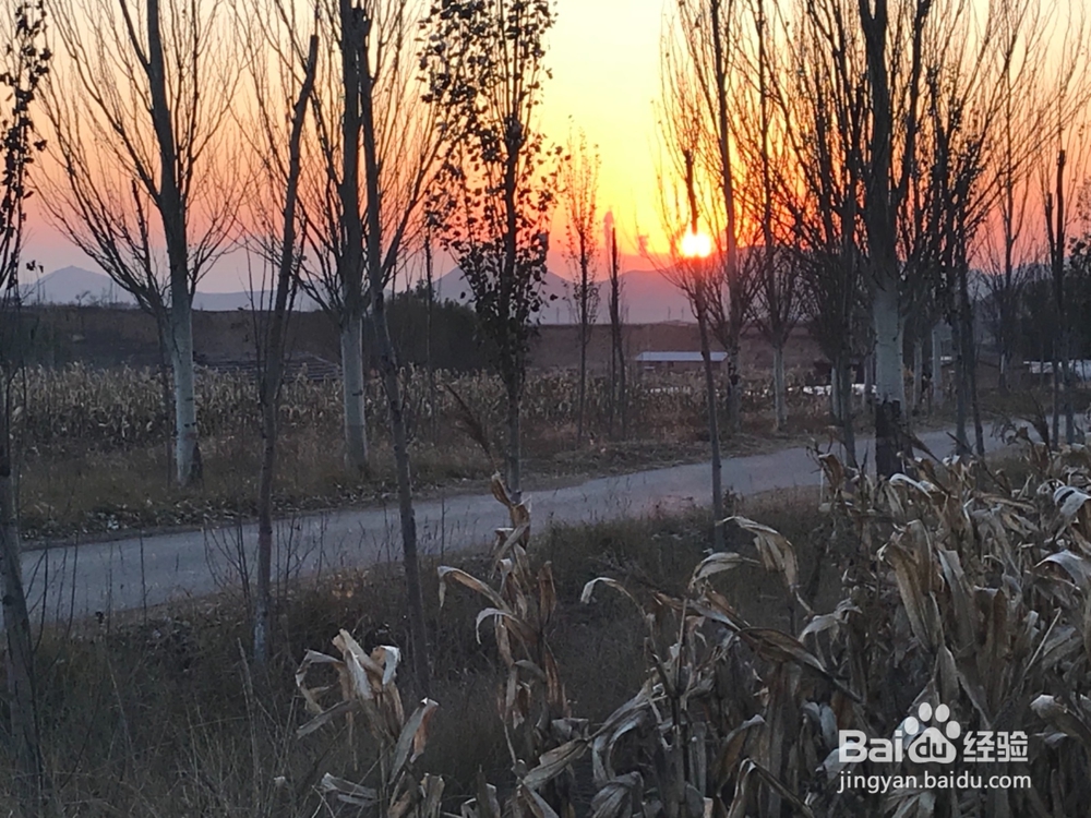 怎样拍摄初冬的田野