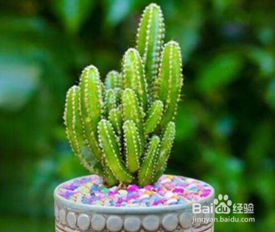 万重山变软补救方法