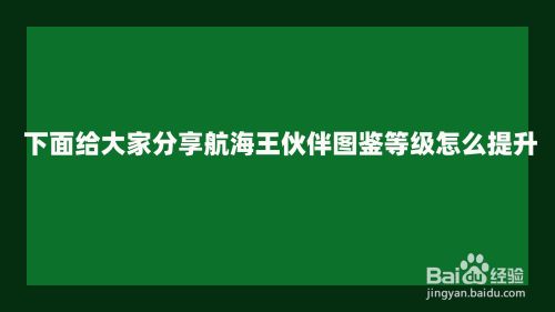 航海王伙伴图鉴等级怎么提升