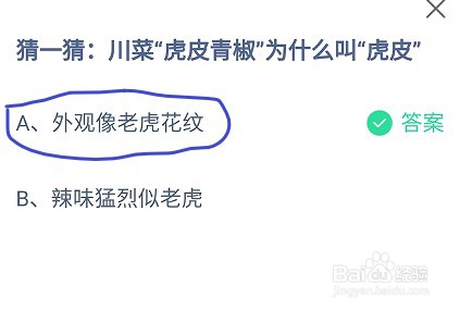 蚂蚁庄园川菜“虎皮青椒”为什么叫“虎皮”