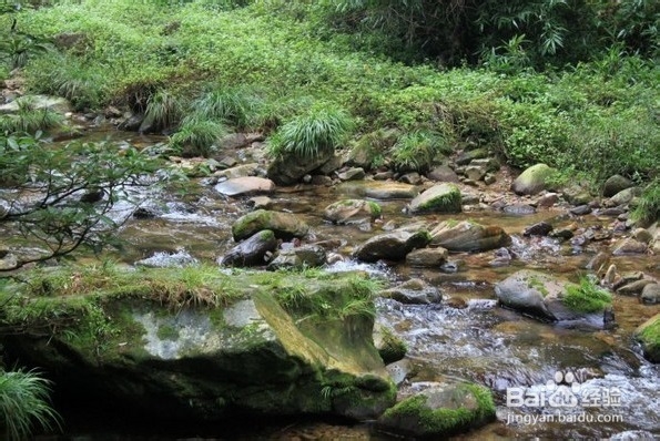去张家界凤凰旅游需要注意什么