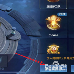 王者荣耀怎样更换鹰眼护卫队击败特效