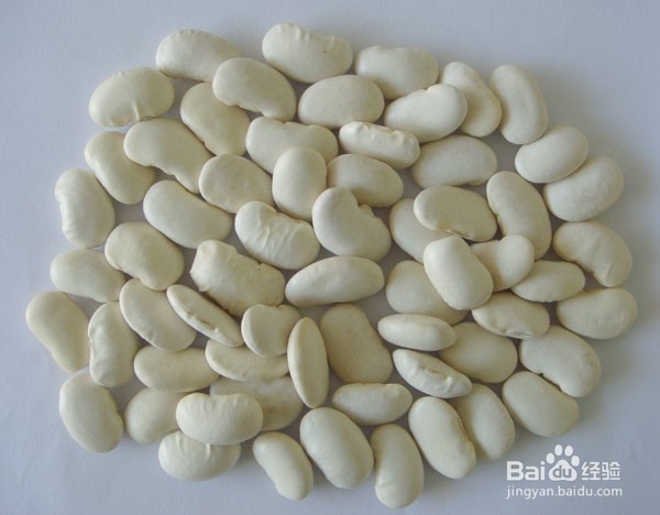 白芸豆的功效与作用