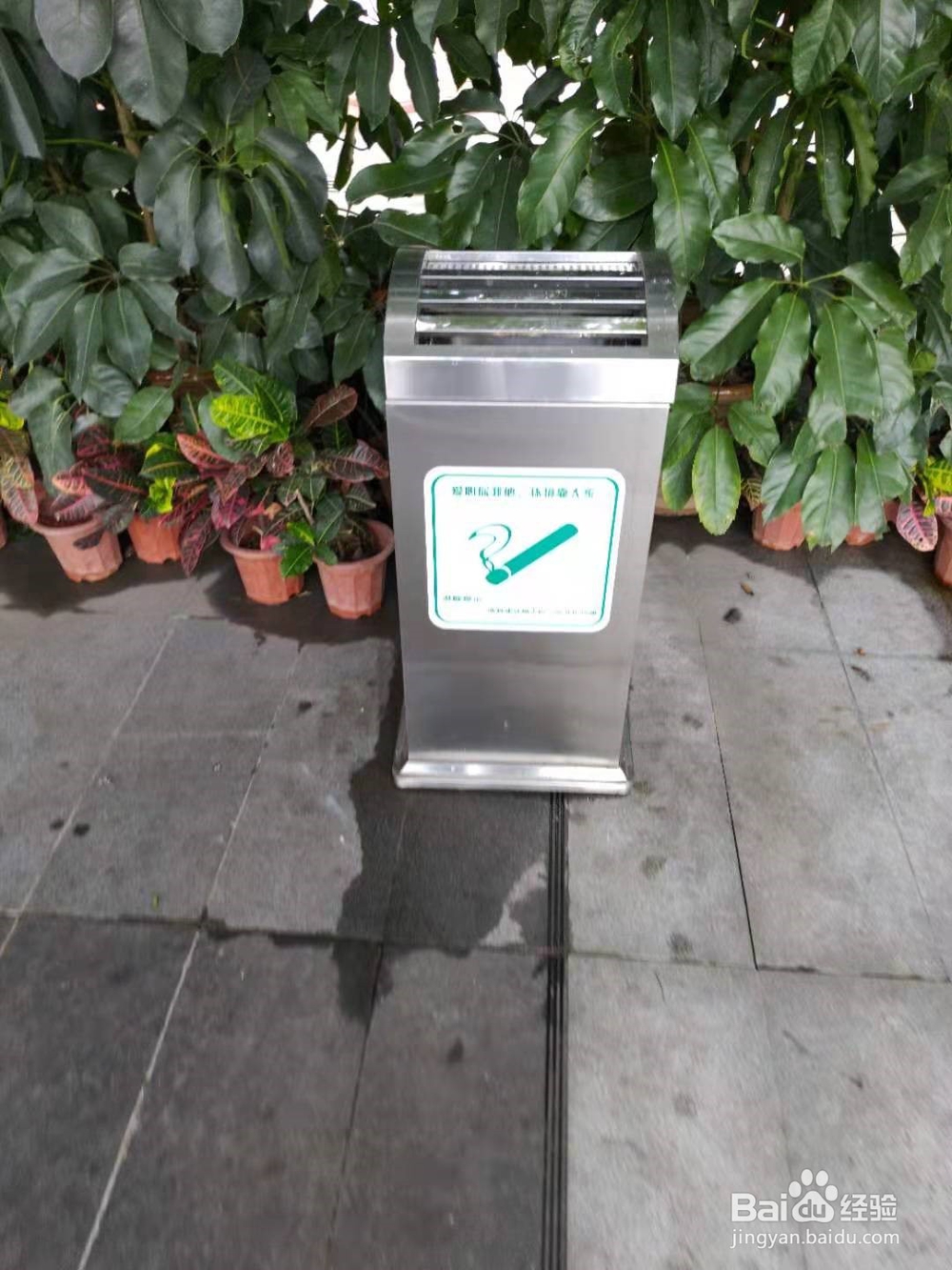 怎样区分湿垃圾和干垃圾