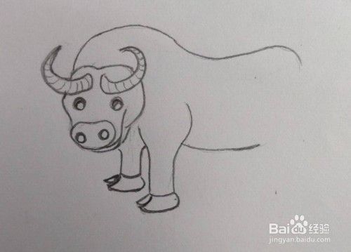 十二生肖画法教程（2）：牛（如何画牛）