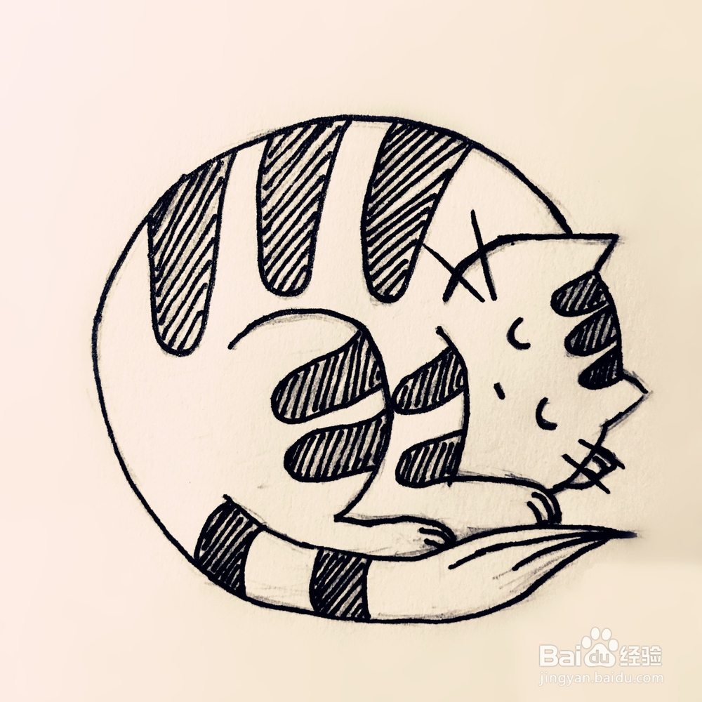 <b>如何画一只在睡觉的胖斑纹猫</b>