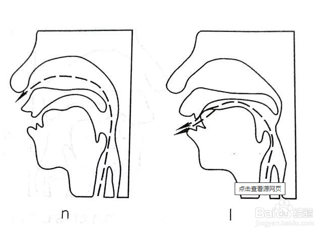 n和l的发音的窍门