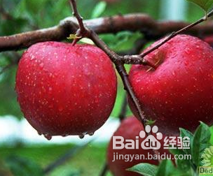 治疗抑郁症吃什么好