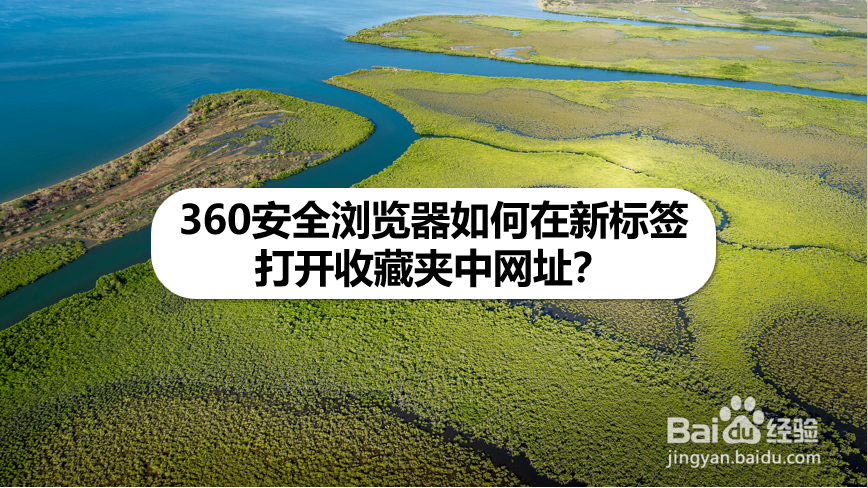 360安全浏览器如何在新标签打开收藏夹中网址