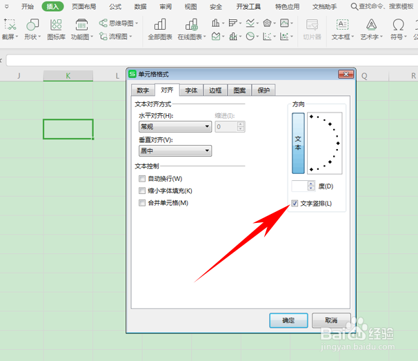 Excel表格技巧之如何在单元格内输入竖排文字