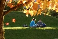 加拿大本科申请文书撰写要点