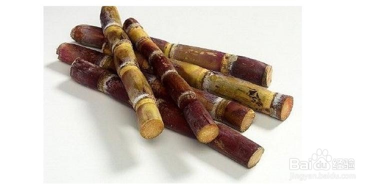 教你吃水果吃出健康身体