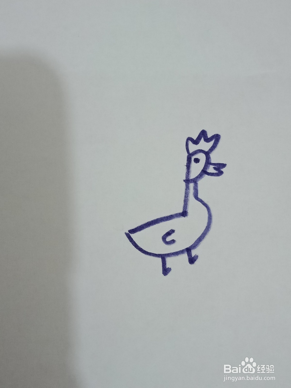 孔雀开屏简笔画