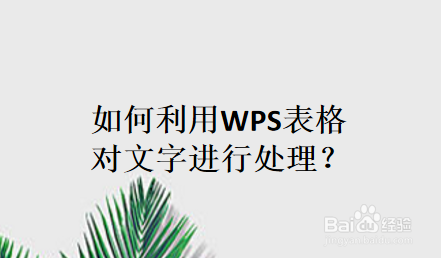 如何利用WPS表格对文字进行处理