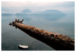 日本高阶旅行地