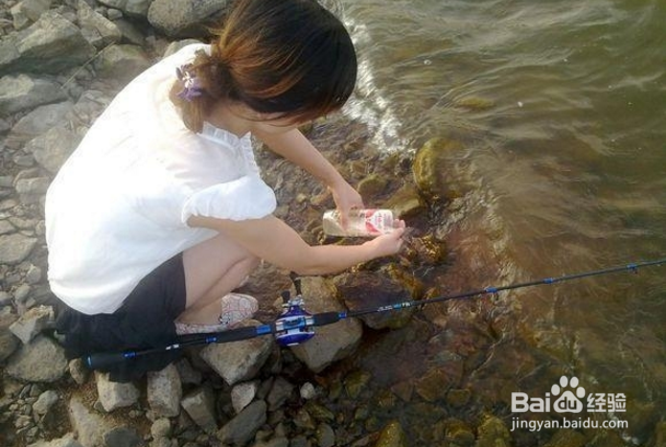 水库钓鲫鱼饵料技巧！水库鱼获18斤！方法很简单