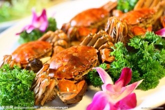 螃蟹柿子怎么解毒