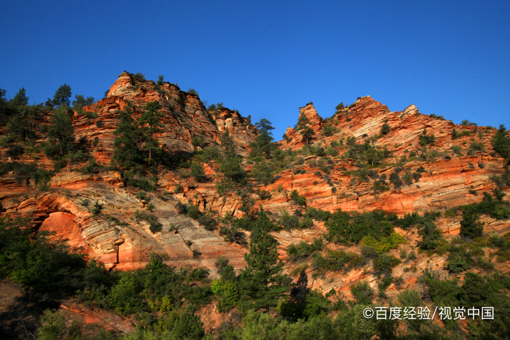 东湖云杉郡怎么预约