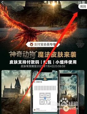 支付宝霍格沃茨凤凰魔法皮肤可以用到什么时候？