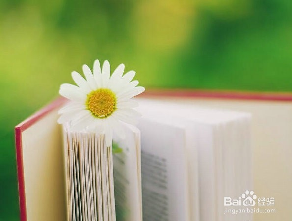 关于产品功能优化的5个方面