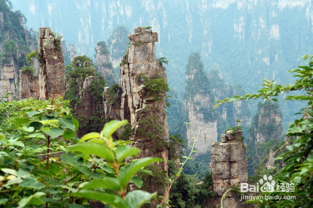 湖南张家界旅行社