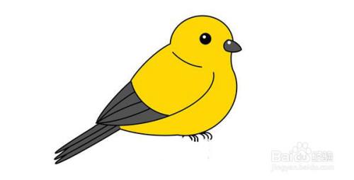 可爱黄鹂的简笔画