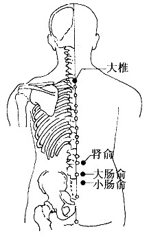 百病刮痧：[20]便秘的刮痧疗法