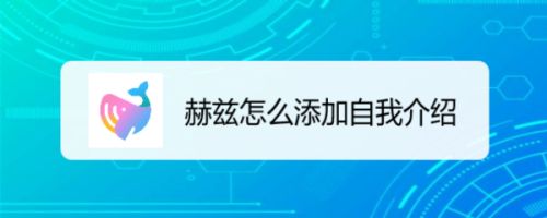赫兹怎么添加自我介绍