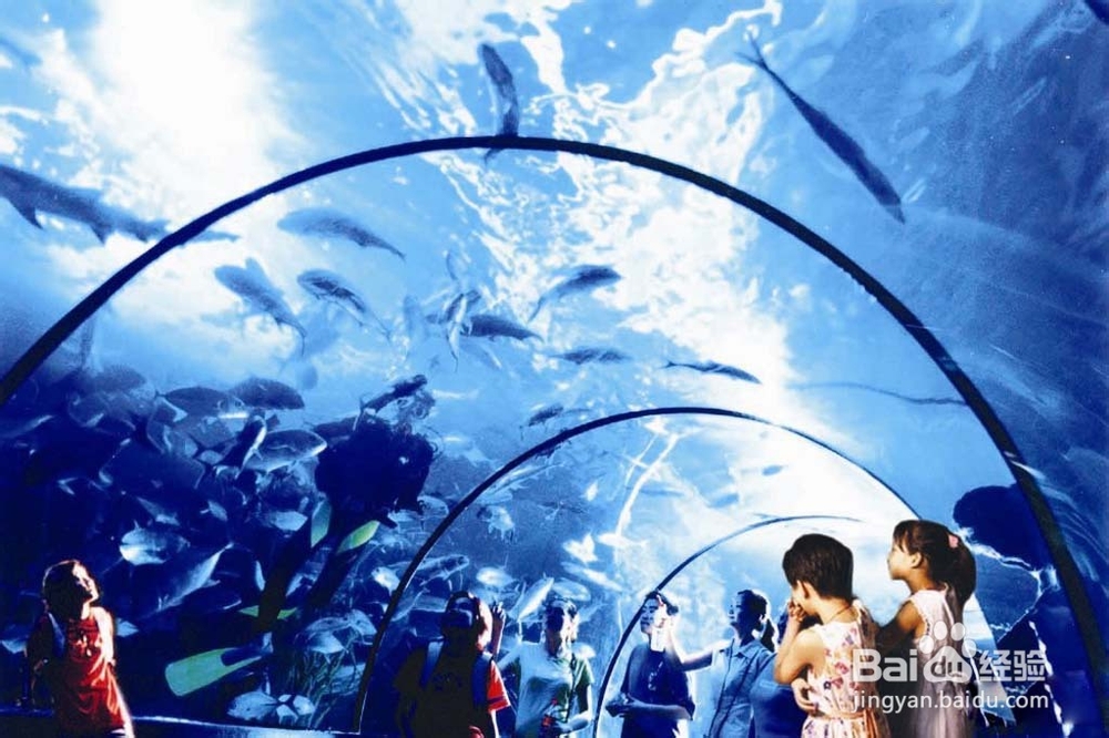 武汉东湖海洋世界公园旅游攻略