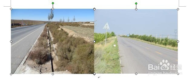 Word文档中如何将多张图片整齐排列固定在表格中