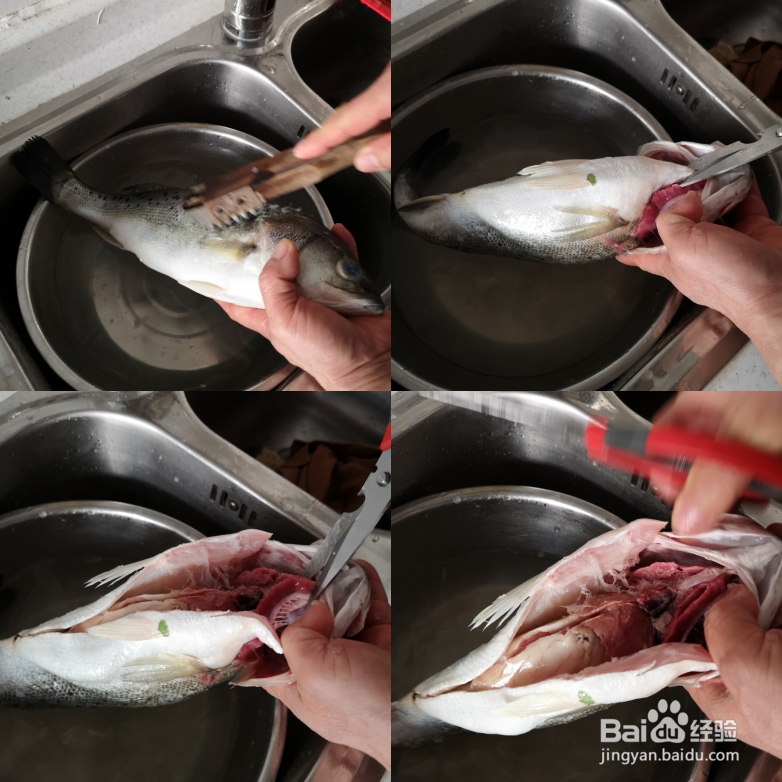 吃光光的清蒸黄花鱼