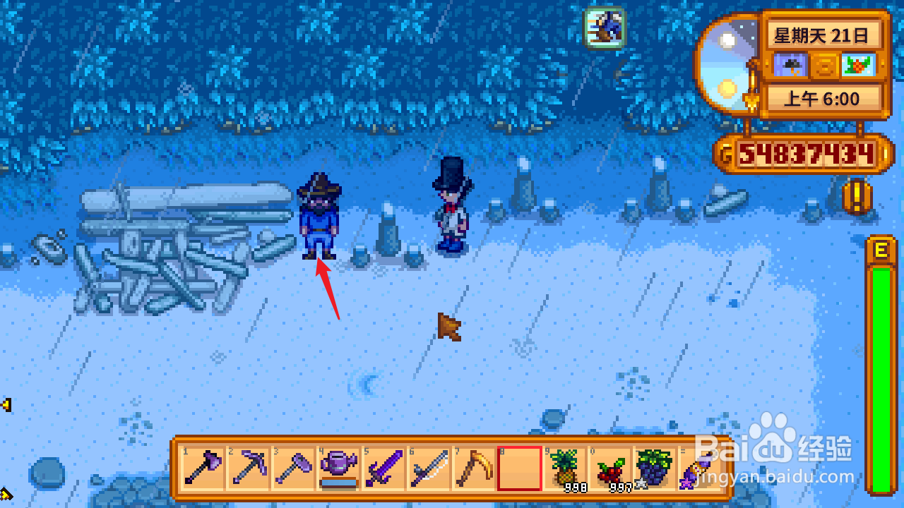 星露谷物语冬天怎么买美人鱼吊坠