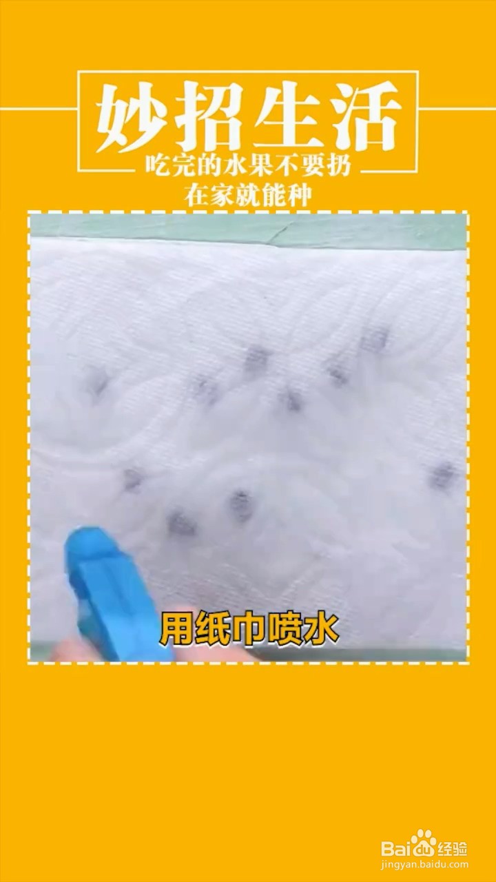 在家种植植物的小妙招