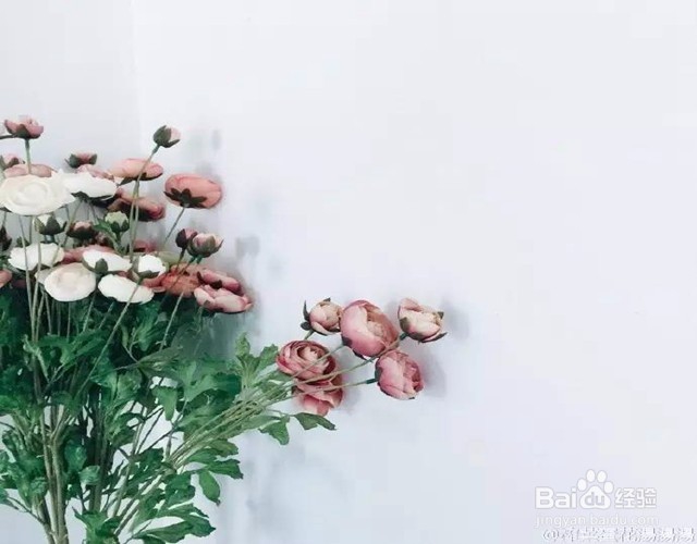 教你如何拍出简单,但是大气上档次的照片