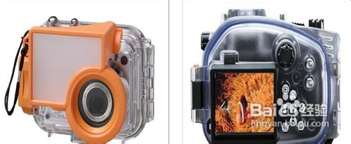 马尔代夫浮潜及水下摄影注意事项