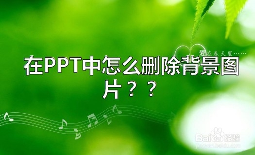 <b>在PPT中怎么删除背景图片</b>