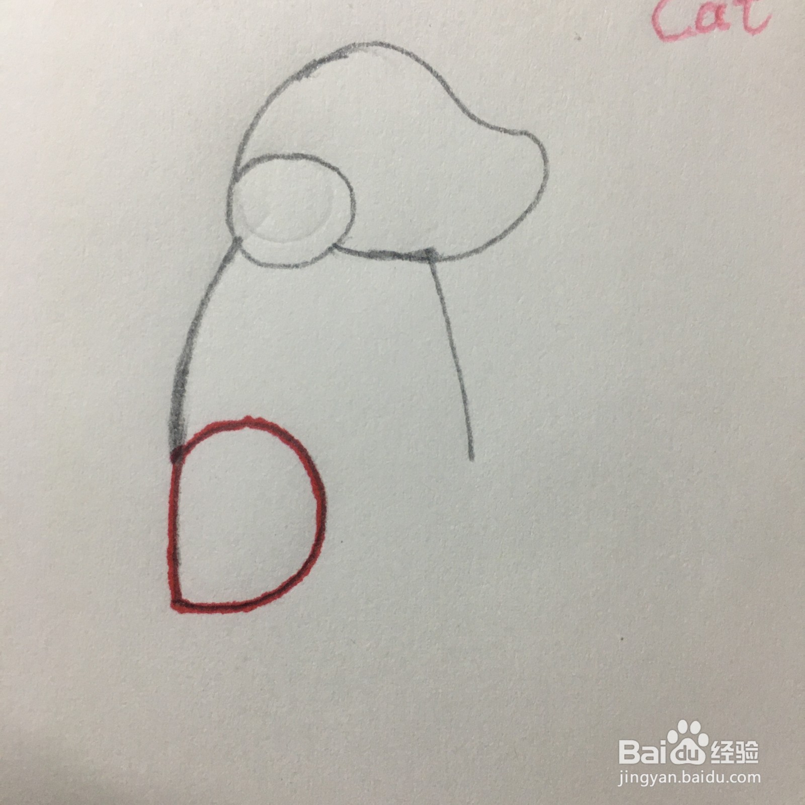 怎么用字母D画简笔画小狗？