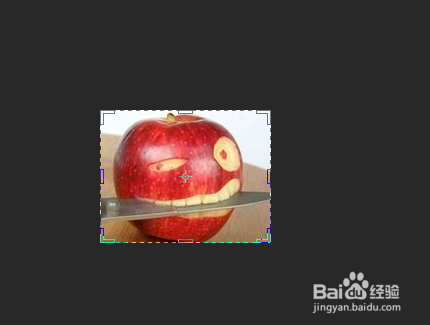 ps裁剪工具的使用方法