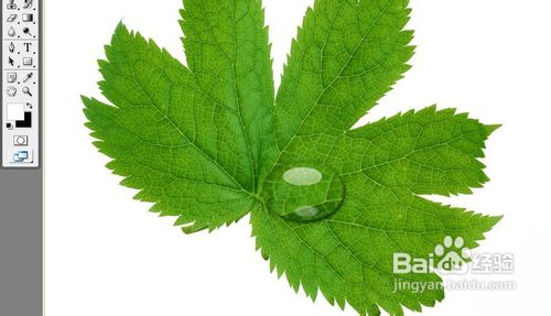 怎样用PS制作水滴