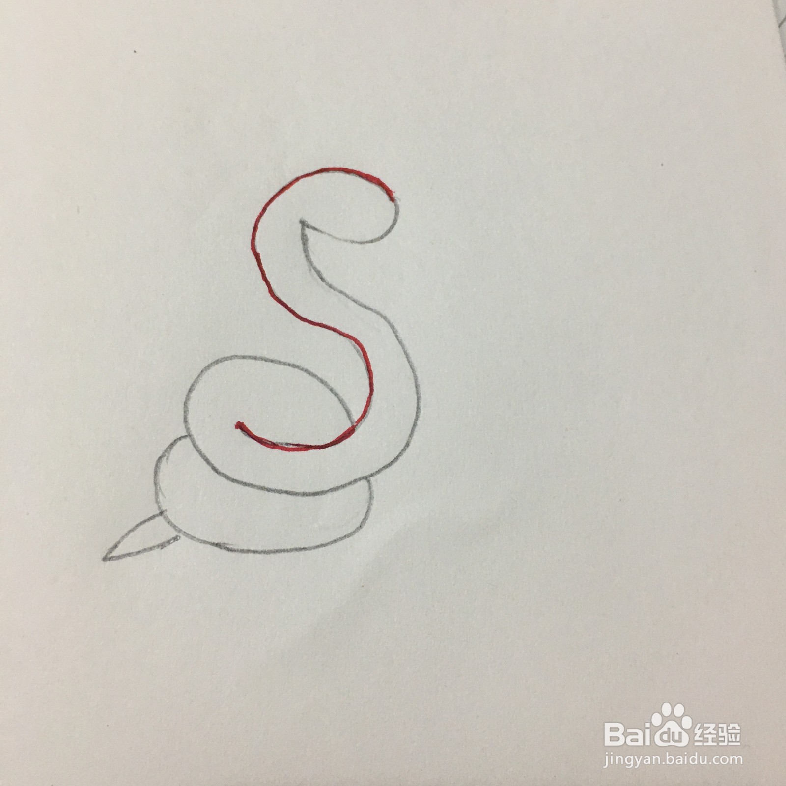 26个字母中S的简笔画怎么画？