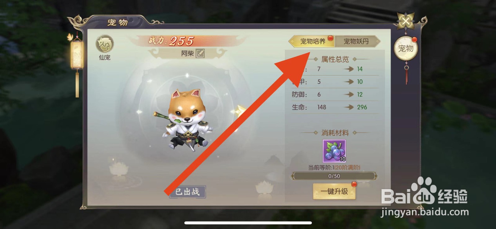 剑玲珑怎么升级宠物