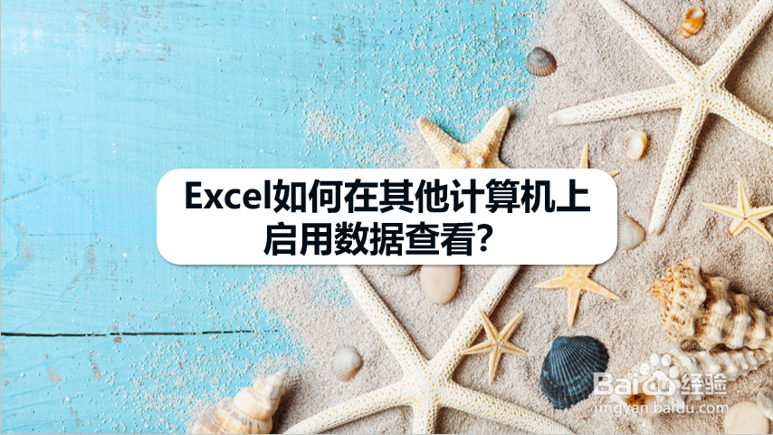 Excel如何在其他计算机上启用数据查看