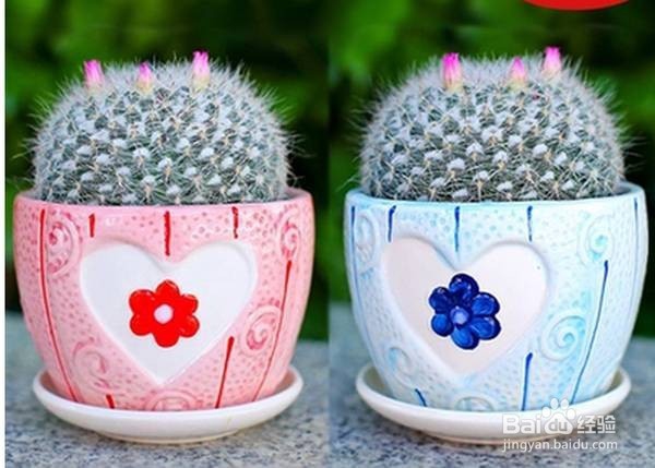 如何用花艺设计一屋内空间？