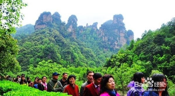 深圳到张家界自助游