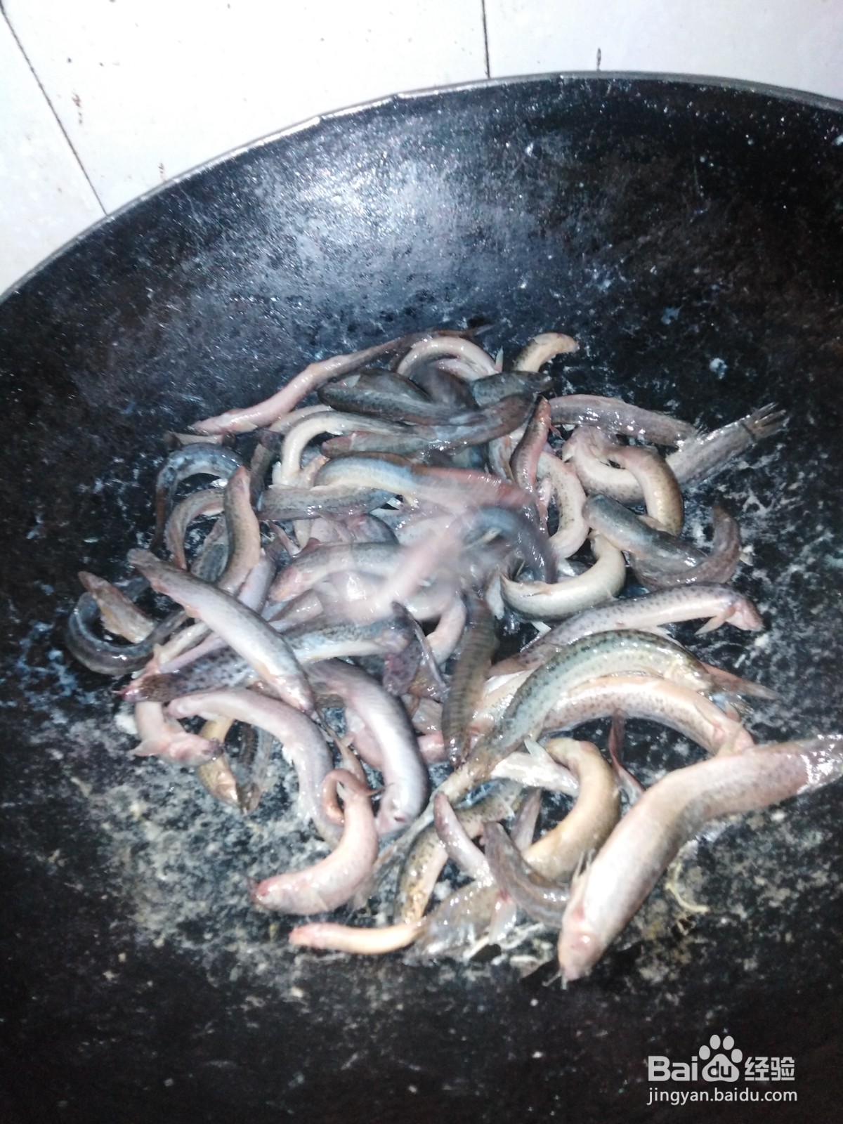 鳅鱼的最佳做法