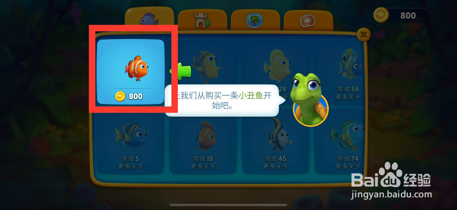 梦幻水族箱购买小丑鱼的方法