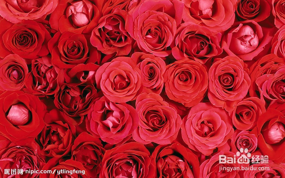 送女朋友礼物要了解，千万别送错咯！