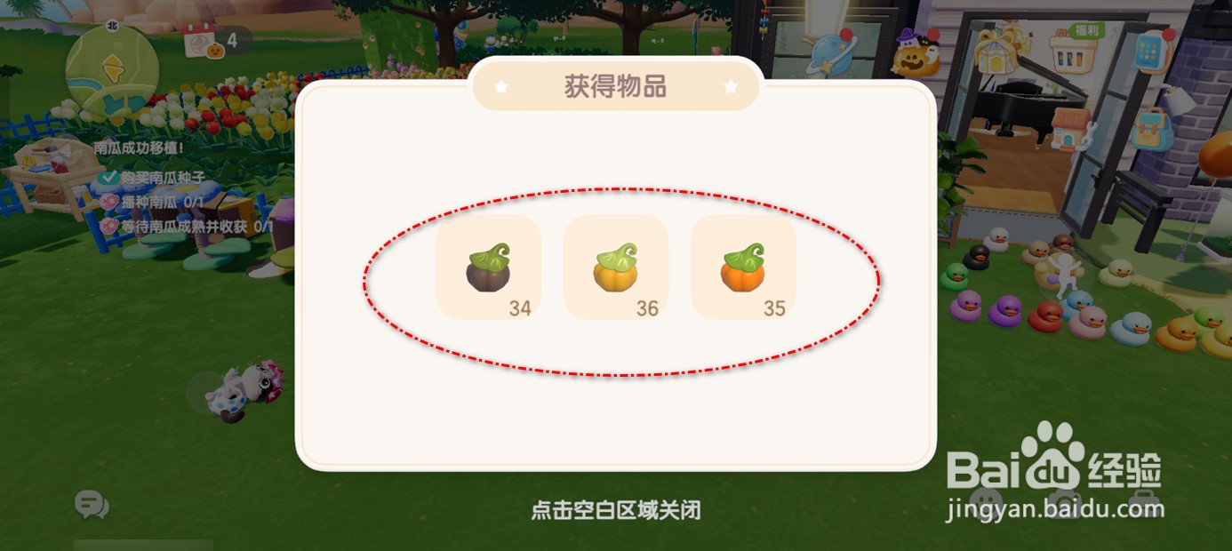 心动小镇如何培育快速获得南瓜
