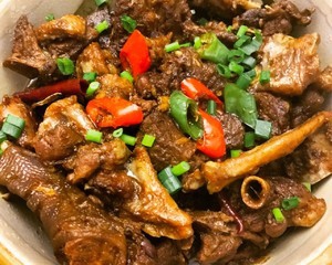 正宗的啤酒焖鹅做法